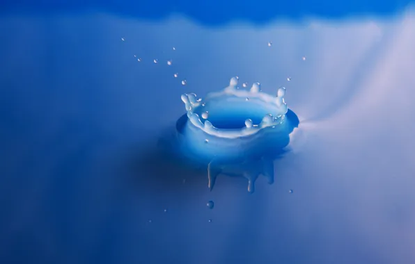 Картинка вода, брызги, синий, молоко