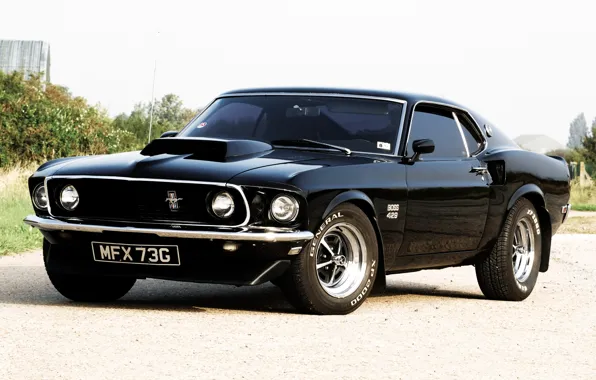 Картинка небо, чёрный, Mustang, Ford, Форд, 1969, Мустанг, мускул кар, кусты, передок, Boss, Muscle car, 429, …