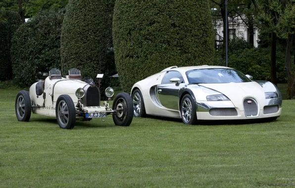 Картинка белый, Bugatti, veyron