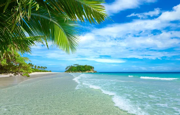 Картинка песок, море, пляж, лето, пальмы, summer, beach, sea, sand, paradise, vacation, palms, tropical