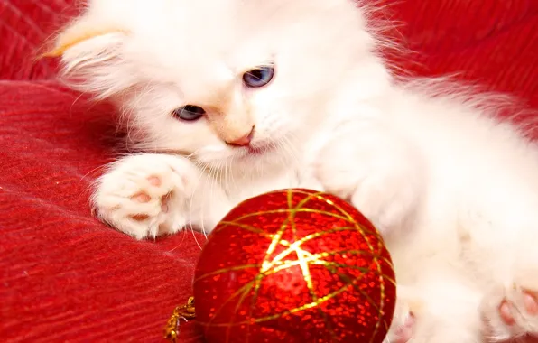 Картинка котенок, игрушка, новый год, котик