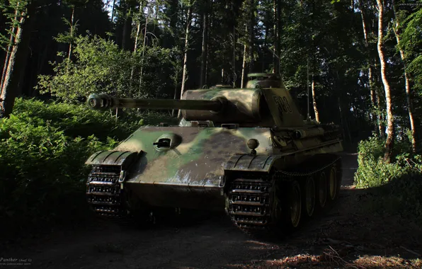 Картинка пантера, танк, вторая мировая война, военная техника