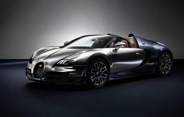 Картинка Bugatti, Veyron, 2014, Ettore