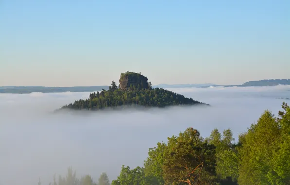 Картинка небо, деревья, туман, скала, гора, утро