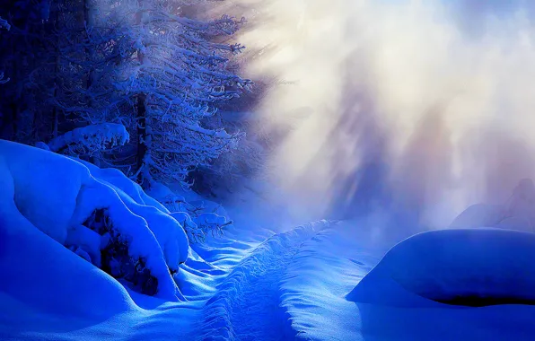 Картинка зима, дорога, лес, небо, снег, деревья, пейзаж, природа, white, forest, road, sky, trees, nature, sunset, …