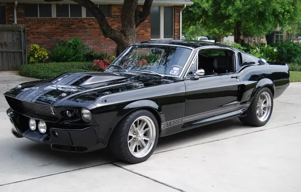 Картинка Shelby, GT500, Ford Mustang