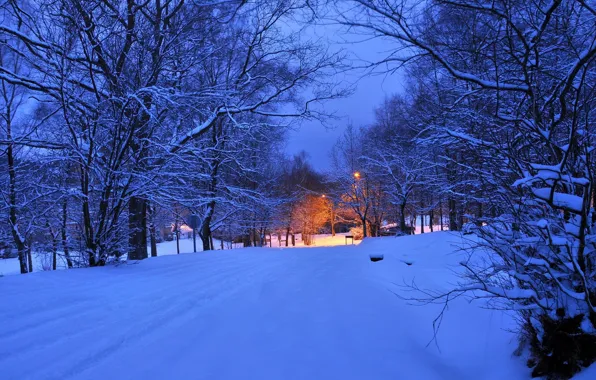 Картинка зима, дорога, свет, снег, деревья, ночь, огни, вечер, фонарь