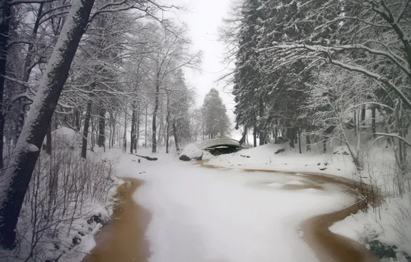 Картинка зима, снег, деревья, мост, парк, река