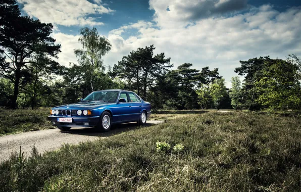 Картинка BMW, Классика, Синяя, БМВ, E34, 535i