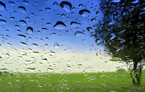 Картинка стекло, вода, прозрачность, капли, после дождя, macro