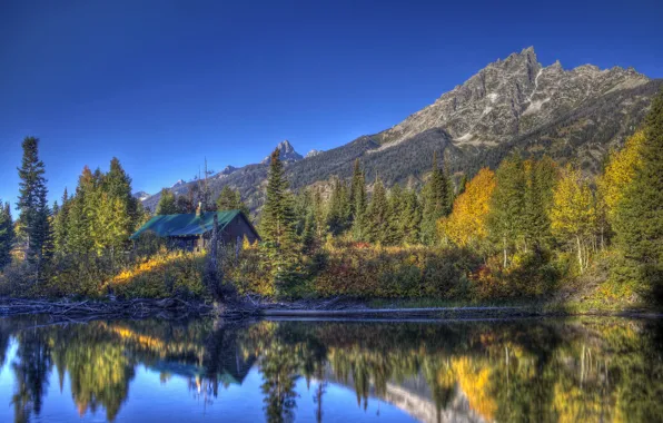 Картинка лес, вода, деревья, горы, озеро, парк, отражение, домик, США, Grand Teton