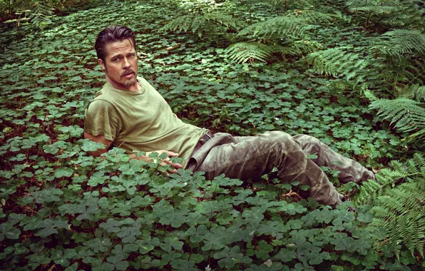 Картинка зелень, листья, природа, актер, мужчина, Брэд Питт, Brad Pitt