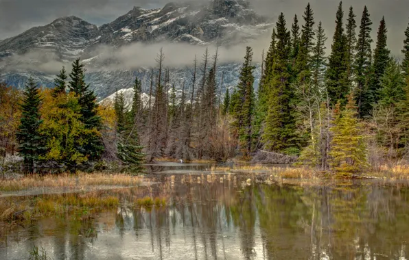 Картинка осень, вода, деревья, горы, природа, туман, озеро, пруд, отражение, ель