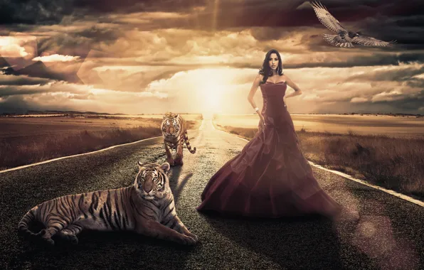 Картинка дорога, девушка, птица, поля, платье, тигры, Andreza Alves