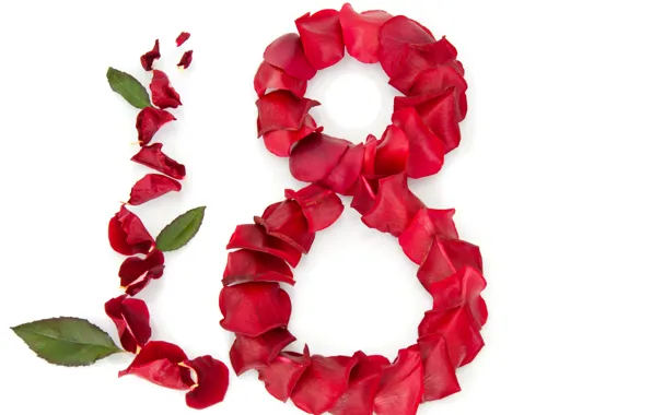 Картинка розы, лепестки, красные, белый фон, листочки, 8 марта, поздравление, женский день