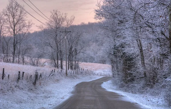 Картинка зима, иней, дорога, свет, снег, пейзаж, природа, цвет, утро
