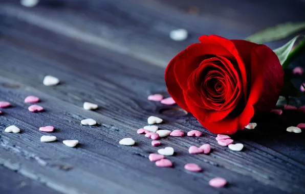 Картинка цветок, цветы, фон, widescreen, обои, романтика, роза, лепестки, сердечки, wallpaper, rose, красная, свидание, flower, широкоформатные, …