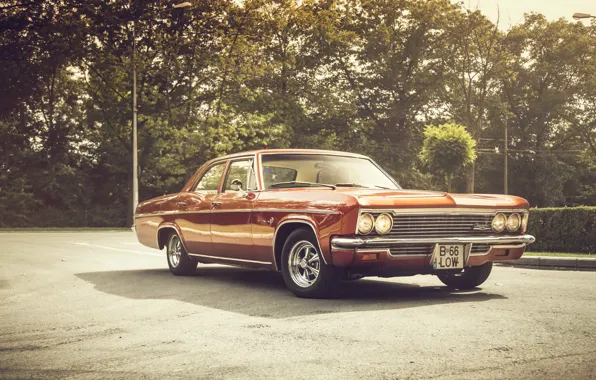 Картинка фары, тень, Chevrolet, колеса, 1966, Impala