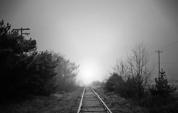 Картинка дорога, туман, Черно-белая, железная, 157