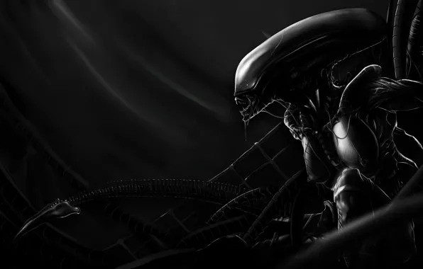 Картинка black and white, pose, silhouette, creature, alien mother