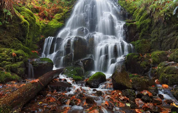 Картинка осень, листья, камни, водопад, мох, Орегон, каскад, Oregon, Columbia River Gorge, река Колумбия, Fairy Falls, …