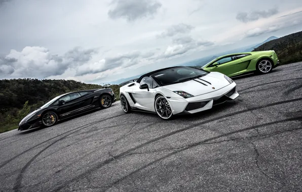 Картинка green, Lamborghini, white, gallardo, black, spyder, LP570-4, superleggera, performante