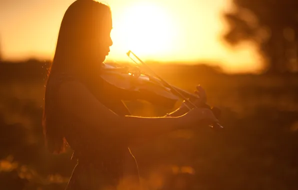 Картинка девушка, закат, скрипка, профиль, музыкальный инструмент