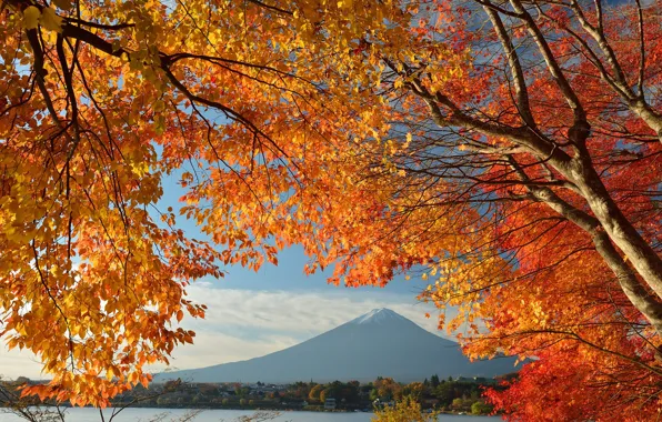 Картинка осень, небо, листья, деревья, озеро, дом, Япония, гора Фудзияма