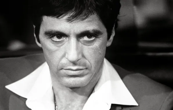 Картинка актер, Al Pacino, Scarface, Аль Пачино, кинорежиссёр, кинозвезда, лицо со шрамом