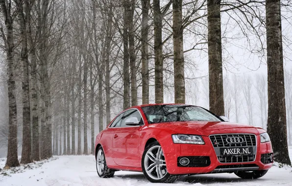 Картинка зима, лес, снег, деревья, красный, Audi, Ауди, red