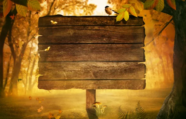 Картинка осень, листья, дерево, табличка, птичка, папоротник