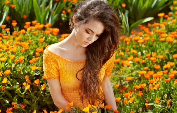 Картинка девушка, цветы, красота, длинные волосы