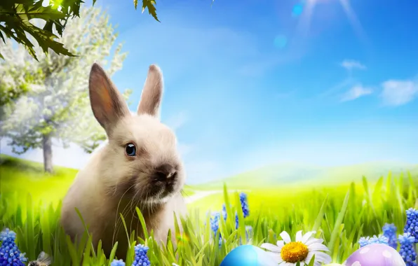 Картинка трава, цветы, ромашки, яйца, весна, кролик, луг, пасха, grass, sunshine, rabbit, flowers, spring, пасхальный, eggs, …