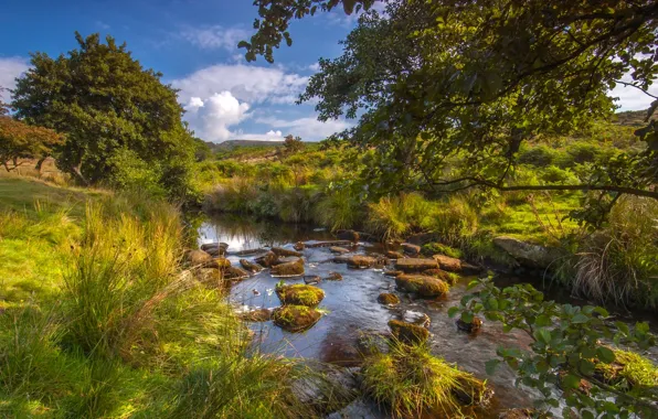 Картинка деревья, река, Англия, речка, England, Peak District National Park, Derbyshire, Дербишир, река Бербэдж Брук, Longshaw …