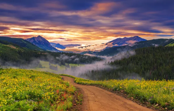 Картинка дорога, трава, цветы, горы, туман, рассвет, долина, леса