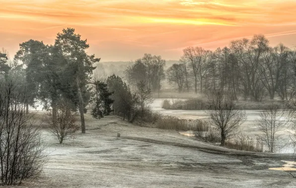 Картинка утро, Польша, морозно, Солнечно, Залесье-Дольне