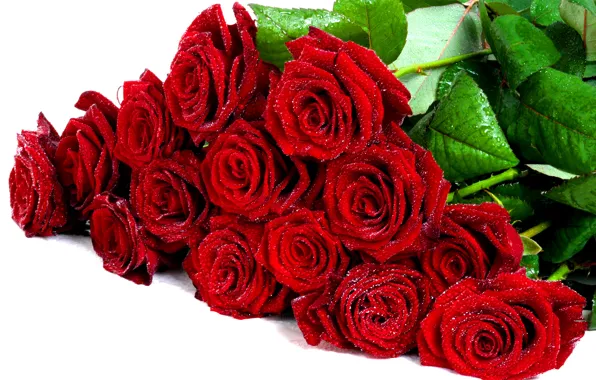 Картинка капли, цветы, романтика, розы, красота, букет, rose, красивая, wet, я тебя люблю, flower, мокрые, хорошо, …
