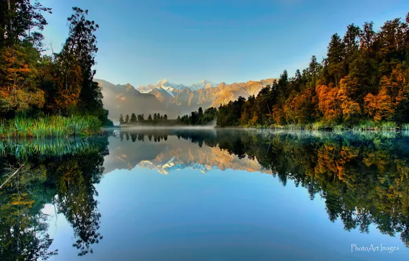 Картинка лес, отражения, горы, озеро, Новая Зеландия, Южный остров, Национальный парк Вестленд, Ледник Фокса, Lake Matheson