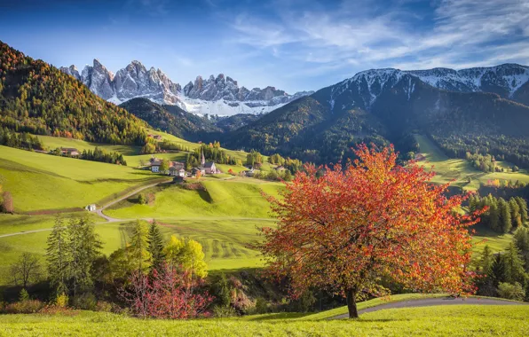 Картинка осень, горы, дерево, деревня, Альпы, Италия, церковь, леса