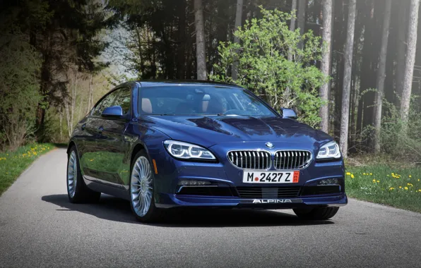 Картинка бмв, BMW, Gran Coupe, xDrive, US-spec, F06, Alpina, 2015