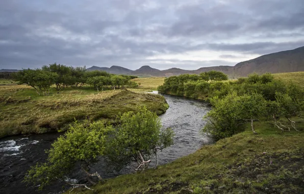 Картинка лето, деревья, река, холмы, Næfurholt, Южная Исландия