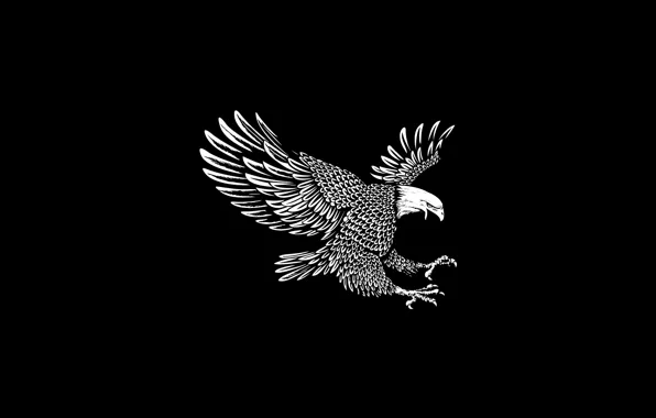 Картинка bird, feathers, eagle