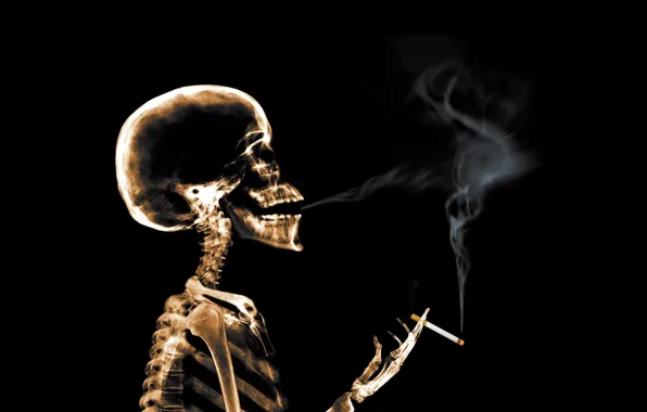 Картинка дым, сигарета, рентген, Скелет