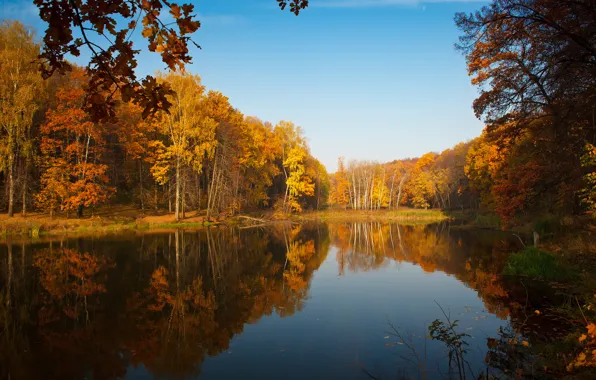 Картинка осень, небо, отражения, деревья, природа, озеро, пруд, краски