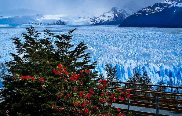 Картинка горы, мост, ледник, Argentina, Аргентина, Анды, Patagonia, Патагония, Andes, Perito Moreno Glacier, Santa Cruz Province, …