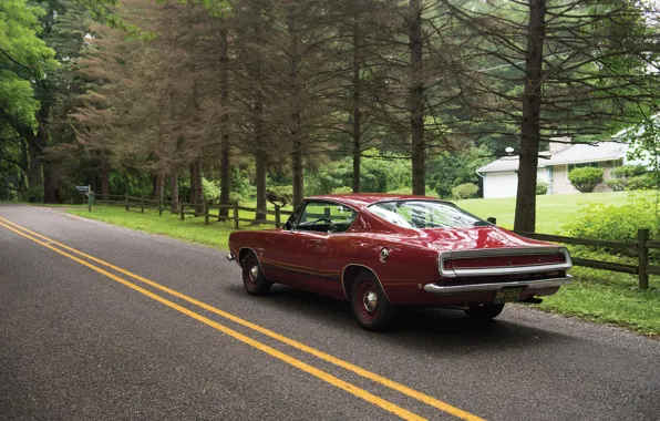 Картинка дорога, авто, деревья, road, muscle car, Fastback, Barracuda, Plymouth, 1968, маслкар, Formula S