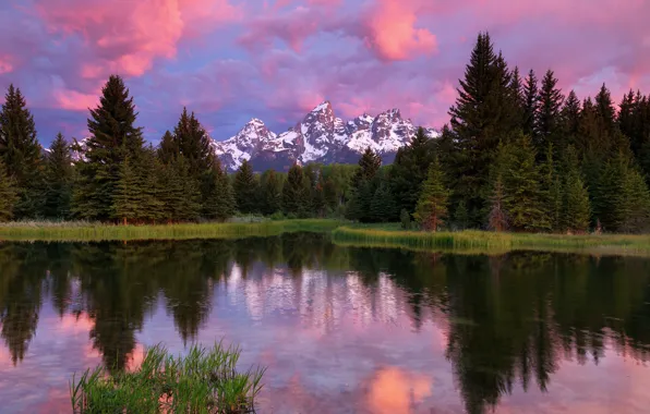 Картинка лес, небо, облака, деревья, горы, озеро, отражение, USA, США, forest, Wyoming, sky, trees, mountains, clouds, …