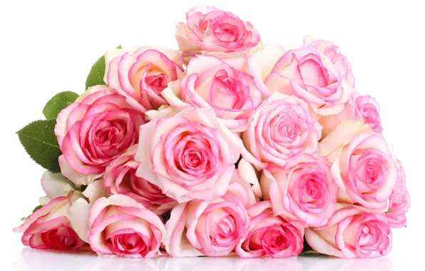 Картинка цветы, розы, букет, розовые розы