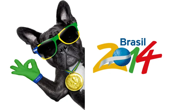 Картинка logo, dog, football, flag, funny, cool, World Cup, Brasil, FIFA, 2014