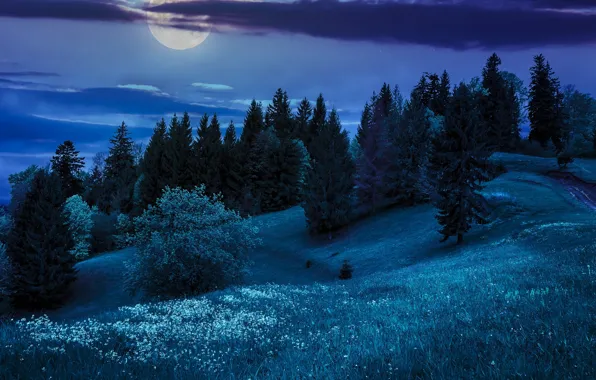 Картинка деревья, ночь, природа, холмы, луна, nature, night, the hills, the moon, the trees